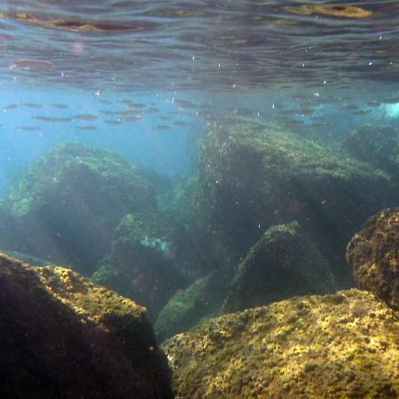 Appartamenti La Quiete Mele Dış mekan fotoğraf