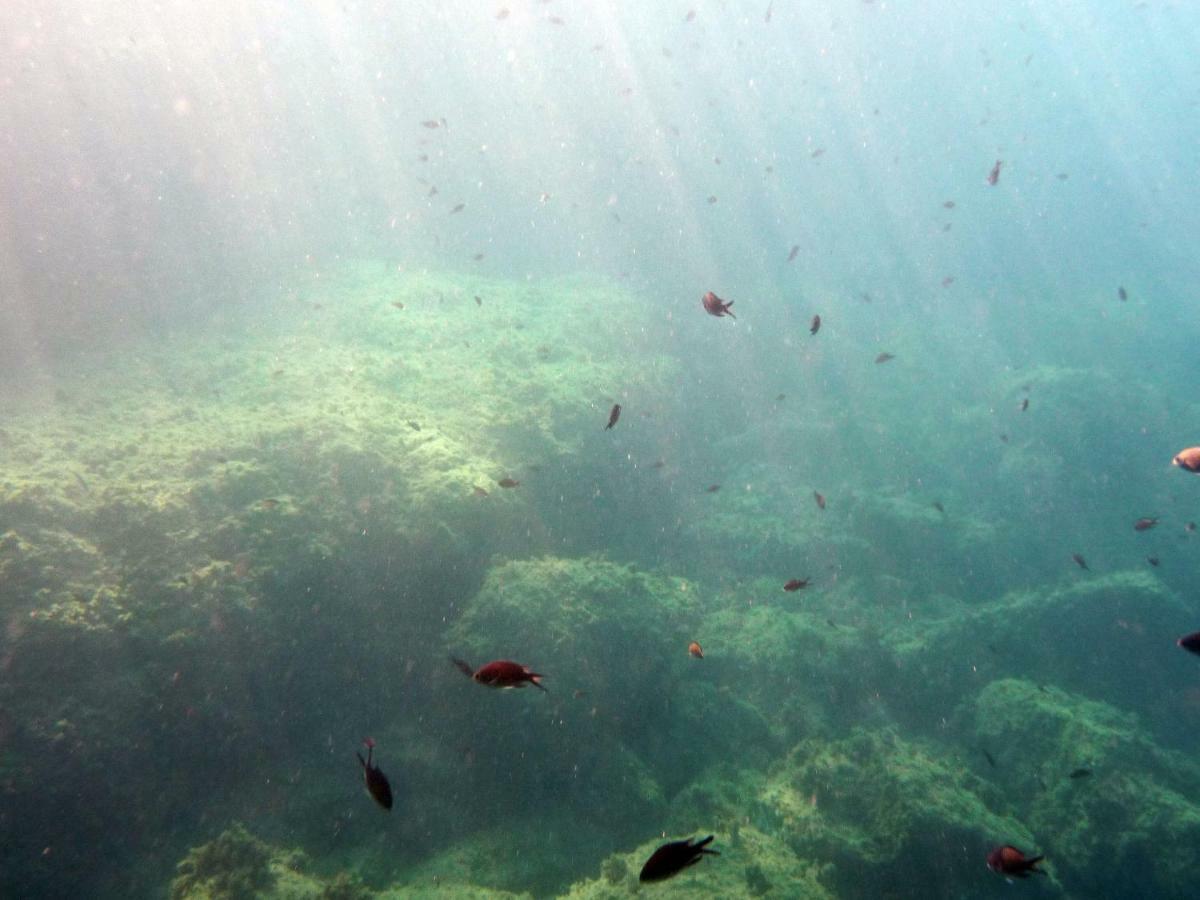 Appartamenti La Quiete Mele Dış mekan fotoğraf